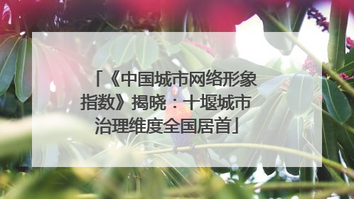《中国城市网络形象指数》揭晓：十堰城市治理维度全国居首