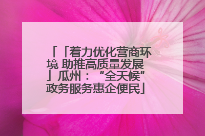「着力优化营商环境 助推高质量发展」瓜州：“全天候”政务服务惠企便民