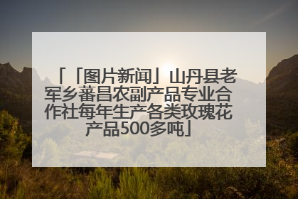 「图片新闻」山丹县老军乡蕃昌农副产品专业合作社每年生产各类玫瑰花产品500多吨