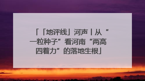 「地评线」河声丨从“一粒种子”看河南“两高四着力”的落地生根