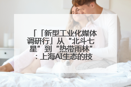 「新型工业化媒体调研行」从“北斗七星”到“热带雨林”：上海AI生态的技术商业共生密码