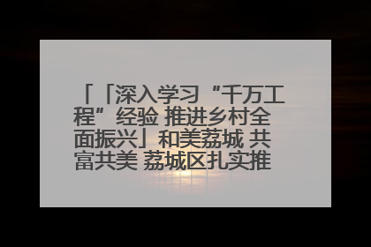 「深入学习“千万工程”经验 推进乡村全面振兴」和美荔城 共富共美 荔城区扎实推进乡村振兴工作