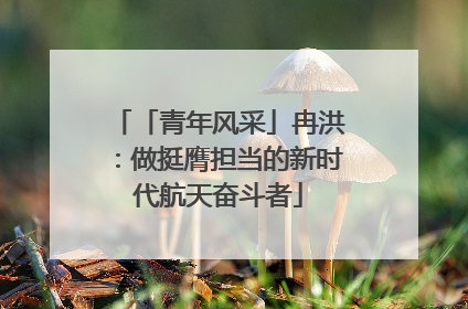 「青年风采」冉洪：做挺膺担当的新时代航天奋斗者