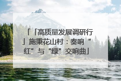「高质量发展调研行」施秉花山村：奏响“红”与“绿”交响曲