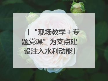 “现场教学＋专题党课”为支点建设注入水利动能