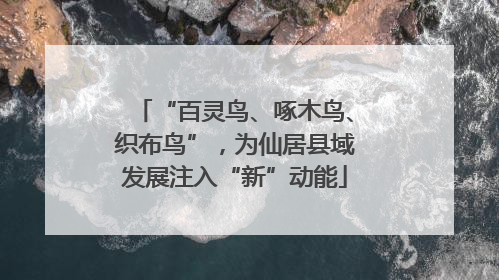 “百灵鸟、啄木鸟、织布鸟”，为仙居县域发展注入“新”动能
