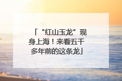 “红山玉龙”现身上海！来看五千多年前的这条龙