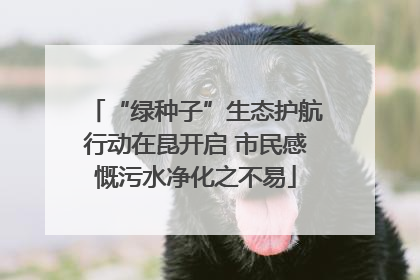 “绿种子”生态护航行动在昆开启 市民感慨污水净化之不易