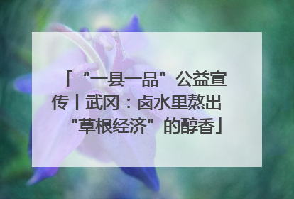 “一县一品”公益宣传丨武冈：卤水里熬出“草根经济”的醇香