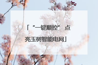 “一键顺控” 点亮玉树智能电网