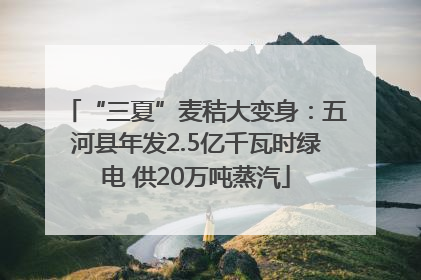 “三夏”麦秸大变身：五河县年发2.5亿千瓦时绿电 供20万吨蒸汽