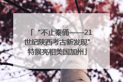 “不止秦俑——21世纪陕西考古新发现”特展亮相美国加州
