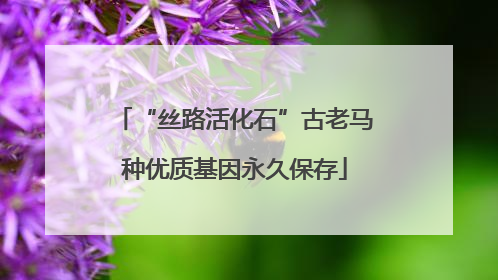 “丝路活化石”古老马种优质基因永久保存