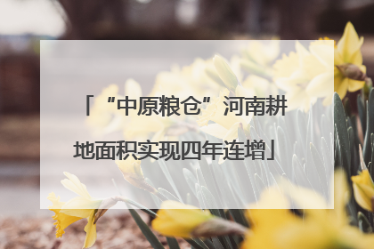 “中原粮仓”河南耕地面积实现四年连增