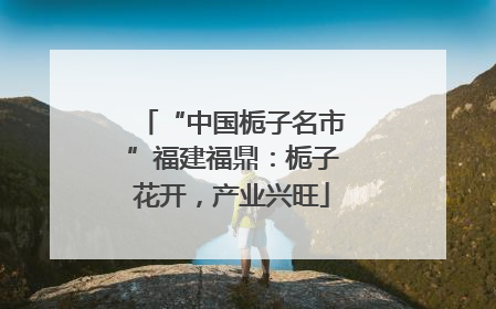 “中国栀子名市”福建福鼎：栀子花开，产业兴旺