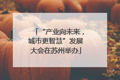 “产业向未来，城市更智慧”发展大会在苏州举办
