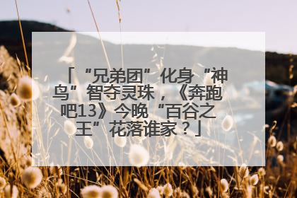 “兄弟团”化身“神鸟”智夺灵珠，《奔跑吧13》今晚“百谷之王”花落谁家？