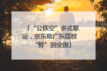 “公铁空”多式联运，京东助广东荔枝“鲜”到全国