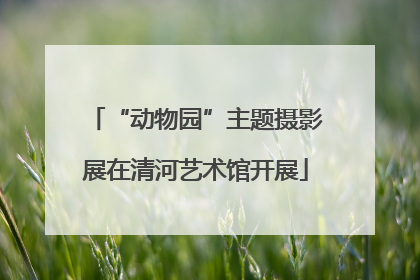 “动物园”主题摄影展在清河艺术馆开展