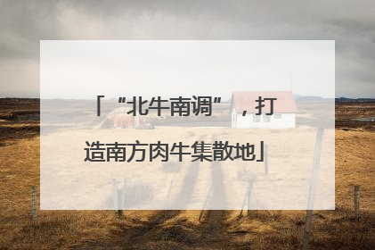 “北牛南调”，打造南方肉牛集散地