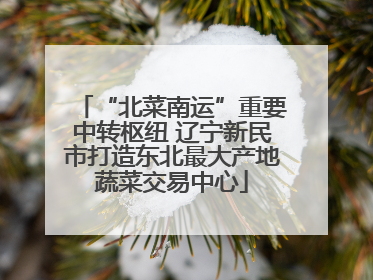 “北菜南运”重要中转枢纽 辽宁新民市打造东北最大产地蔬菜交易中心