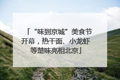 “味到京城”美食节开幕，热干面、小龙虾等楚味亮相北京