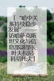 “哈中关系持续稳步发展”——访哈萨克斯坦文化与信息部副部长叶夫根尼·科切托夫