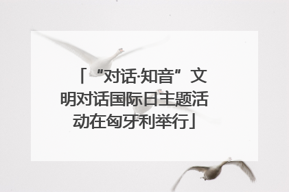 “对话·知音”文明对话国际日主题活动在匈牙利举行