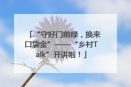 “守好门前绿，换来口袋金”——“乡村Talk”开讲啦！