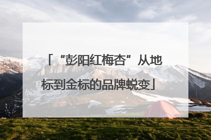 “彭阳红梅杏”从地标到金标的品牌蜕变