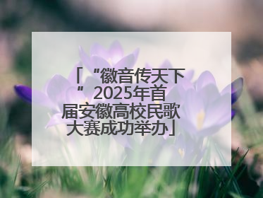 “徽音传天下”2025年首届安徽高校民歌大赛成功举办