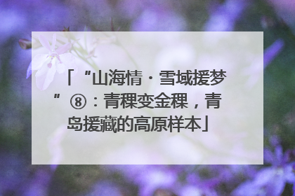 “山海情・雪域援梦”⑧：青稞变金稞，青岛援藏的高原样本