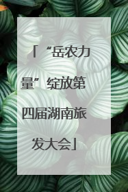 “岳农力量”绽放第四届湖南旅发大会