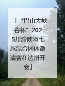 “巴山大峡谷杯”2025川渝陕羽毛球混合团体邀请赛在达州开赛