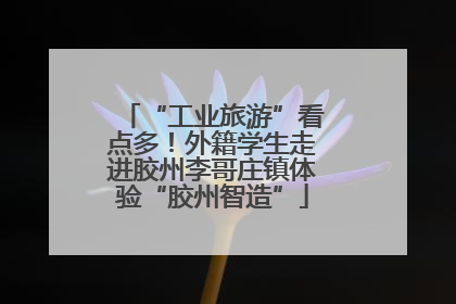 “工业旅游”看点多！外籍学生走进胶州李哥庄镇体验“胶州智造”