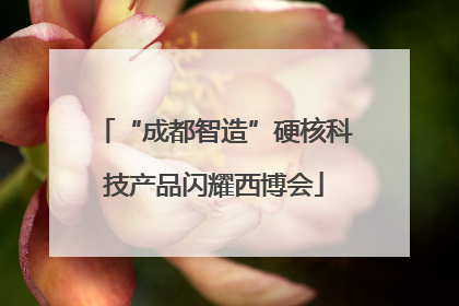 “成都智造”硬核科技产品闪耀西博会
