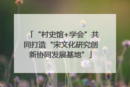 “村史馆+学会”共同打造“宋文化研究创新协同发展基地”