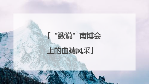 “数说”南博会上的曲靖风采