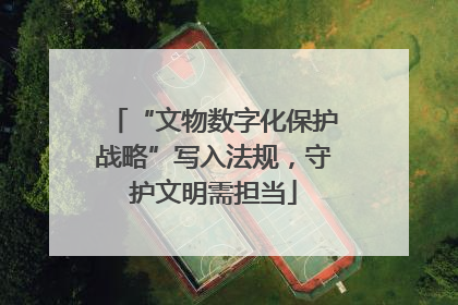 “文物数字化保护战略”写入法规，守护文明需担当