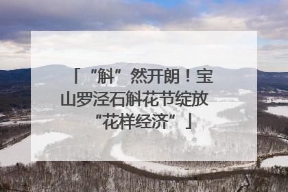 “斛”然开朗！宝山罗泾石斛花节绽放“花样经济”