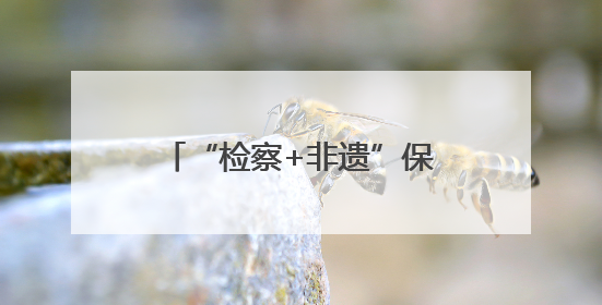 “检察+非遗”保护模式推动水族古文字融入新时代