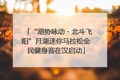 “潮势咏动・北斗飞阳”月湖迷你马拉松全民健身赛在汉启动