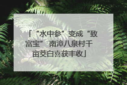 “水中参”变成“致富宝” 南漳八泉村千亩茭白喜获丰收