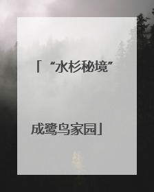 “水杉秘境”成鹭鸟家园