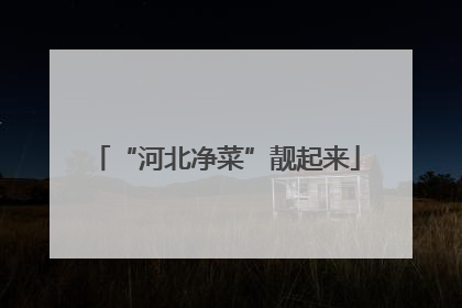 “河北净菜”靓起来
