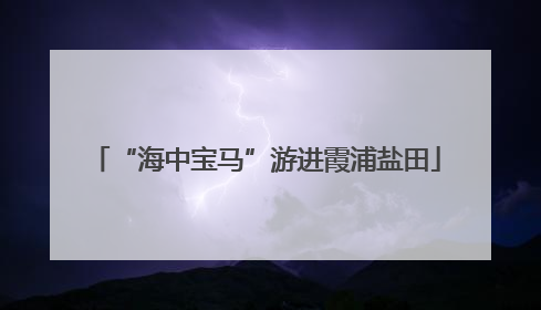 “海中宝马”游进霞浦盐田