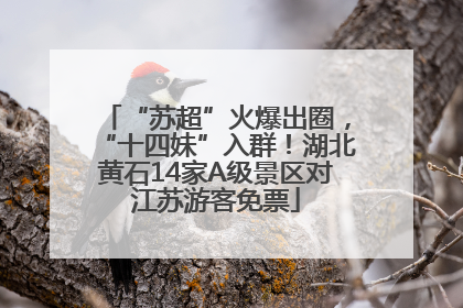 “苏超”火爆出圈，“十四妹”入群！湖北黄石14家A级景区对江苏游客免票