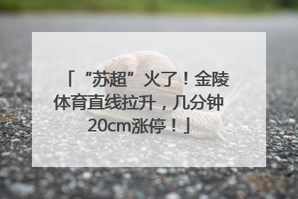 “苏超”火了！金陵体育直线拉升，几分钟20cm涨停！