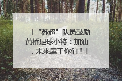 “苏超”队员鼓励黄桥足球小将：加油，未来属于你们！