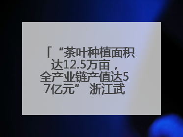 “茶叶种植面积达12.5万亩，全产业链产值达57亿元” 浙江武义茶产业全链发展“加速度”
